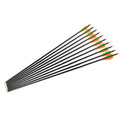 10X/20X/50X 32" Fiberglass Arrows for Archery Hunting Compound Bows